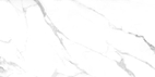 Плитка керамогранитная AZARIO AVIER SATVARIO 60х120 Glossy (F4110821123G)