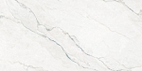 Плитка керамогранитная AZARIO CAPRIA AQUA 60х120 Glossy granula (P4110821135)