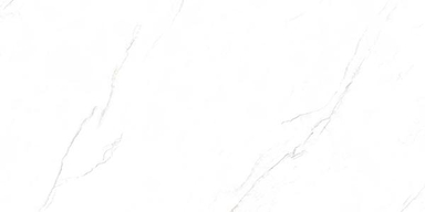 Плитка керамогранитная AZARIO VALENCIA WHITE 80х160 Matt (P231123009M) P231123009M
