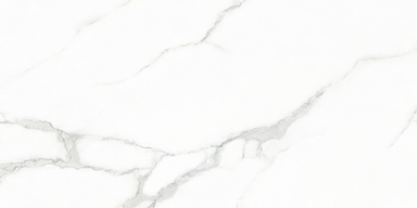 Керамический гранит Creo Ceramique WHITE CARARRA 60х120 Glossy (GJT612670) GJT612670