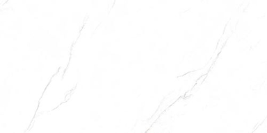 Плитка керамогранитная AZARIO VALENCIA WHITE 80х160 Matt (P231123009M) P231123009M
