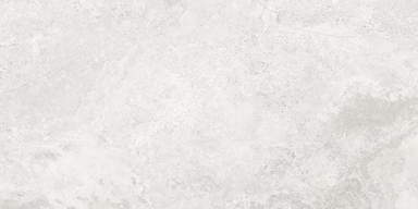 Плитка керамогранитная AZARIO CALLIZA SILVER 60х120 Matt (F4110821130M) F4110821130M